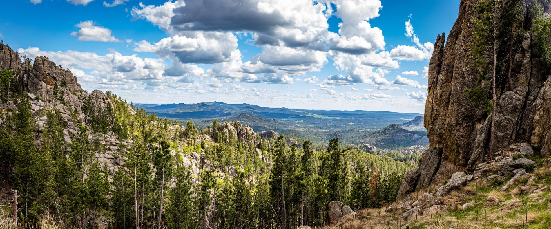 Black Hills of South Dakota